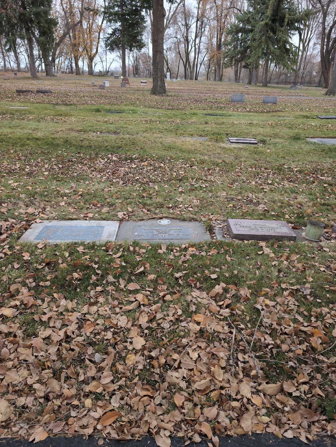 Thomas T. Farris's grave. Photo 2