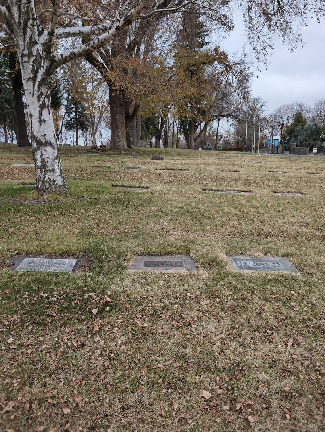 Rena M. Wood's grave. Photo 2