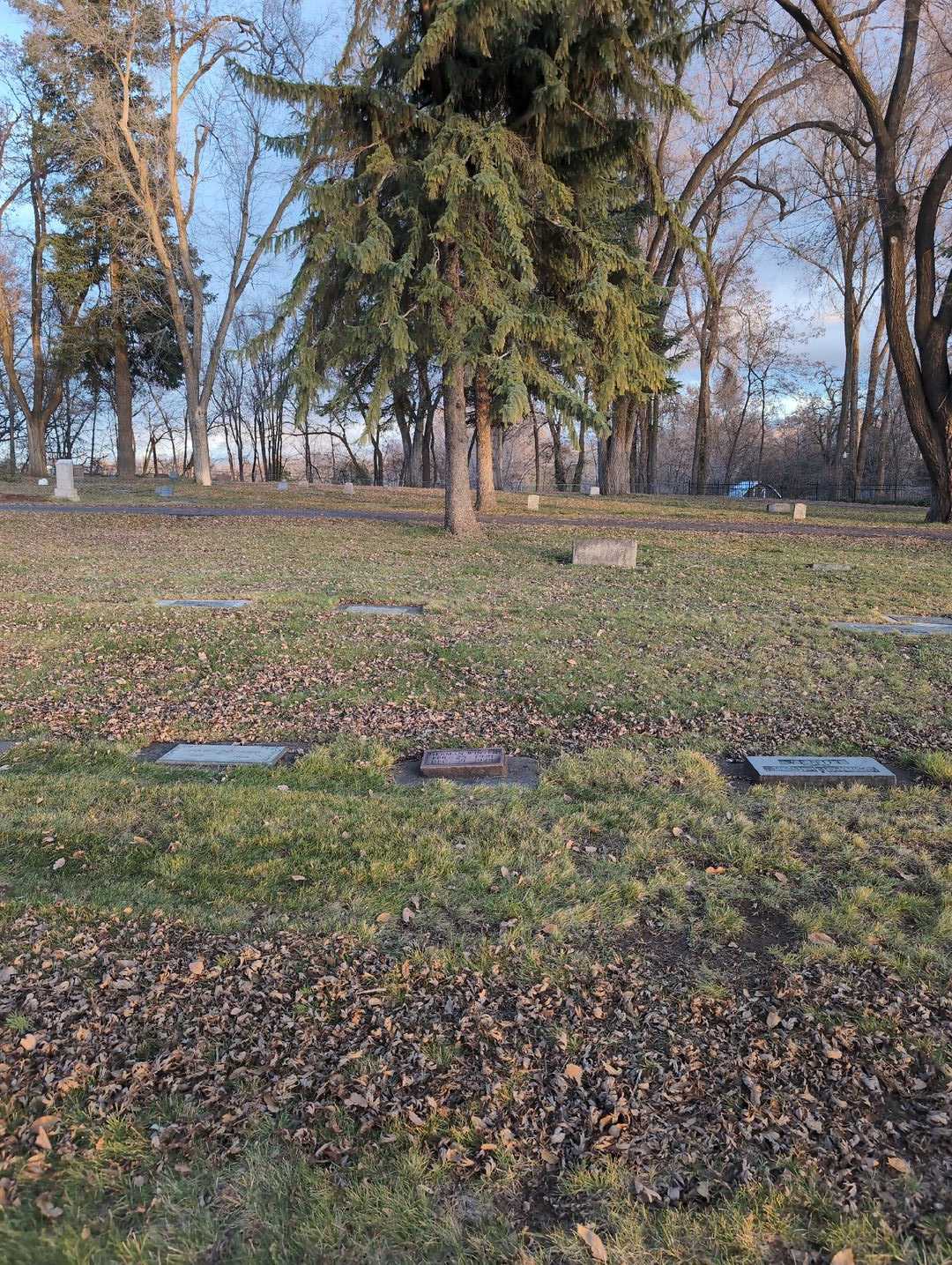 Herman Winter's grave. Photo 2