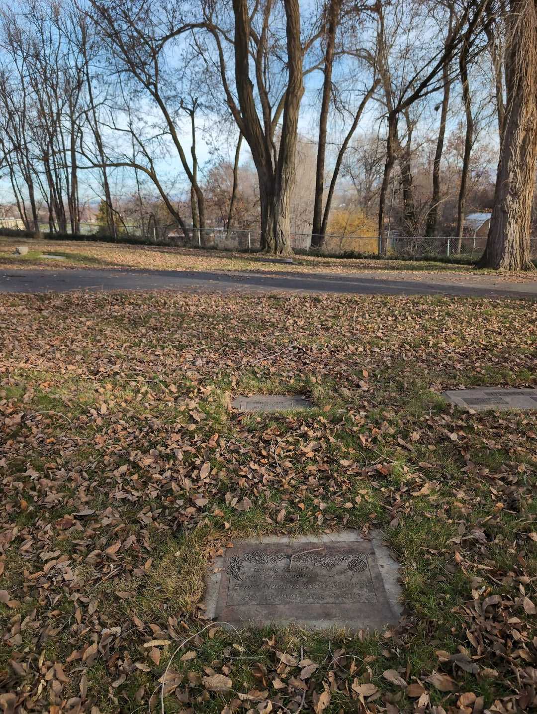 Nancy Jane Taylor's grave. Photo 2