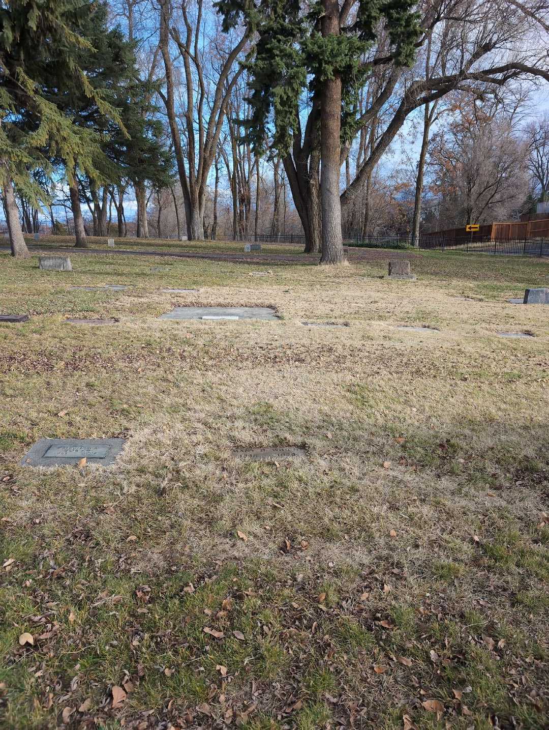 Mary B. Wright's grave. Photo 2