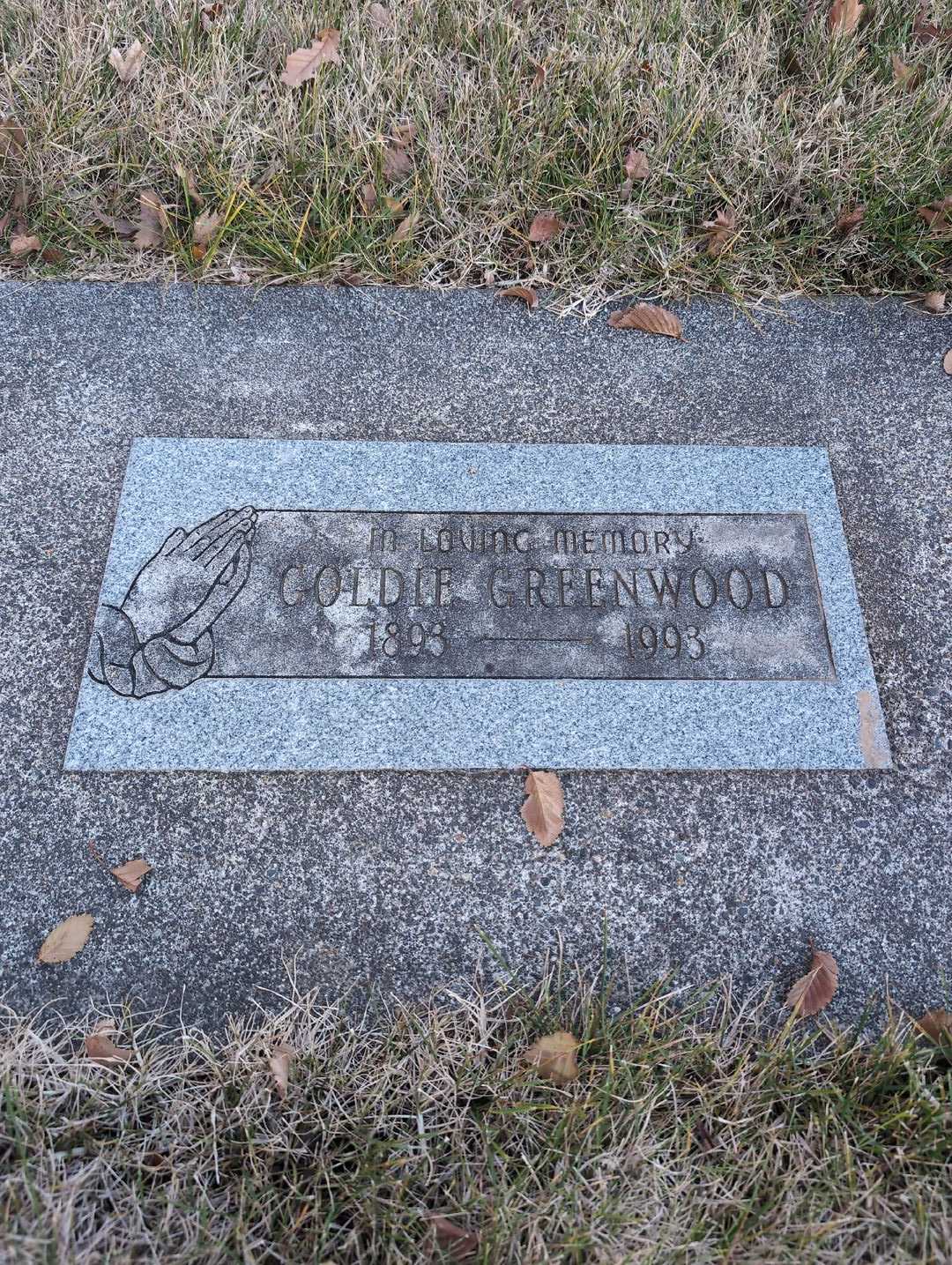 Goldie Greenwood's grave. Photo 3