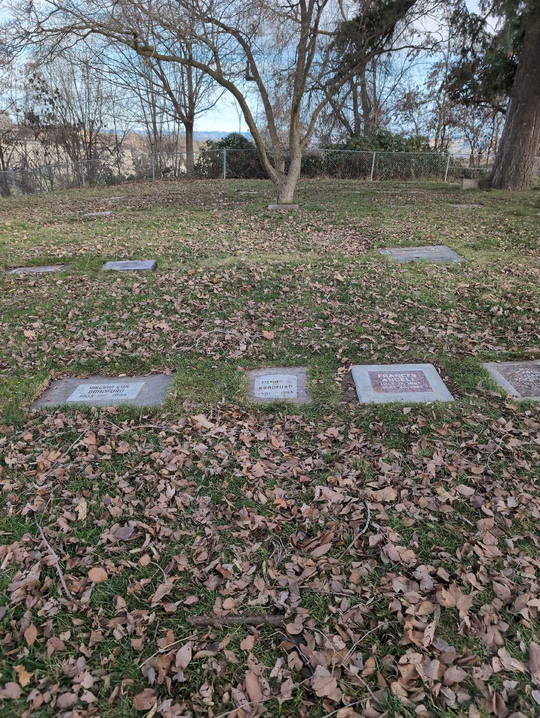 Stephen C. Bradford's grave. Photo 2