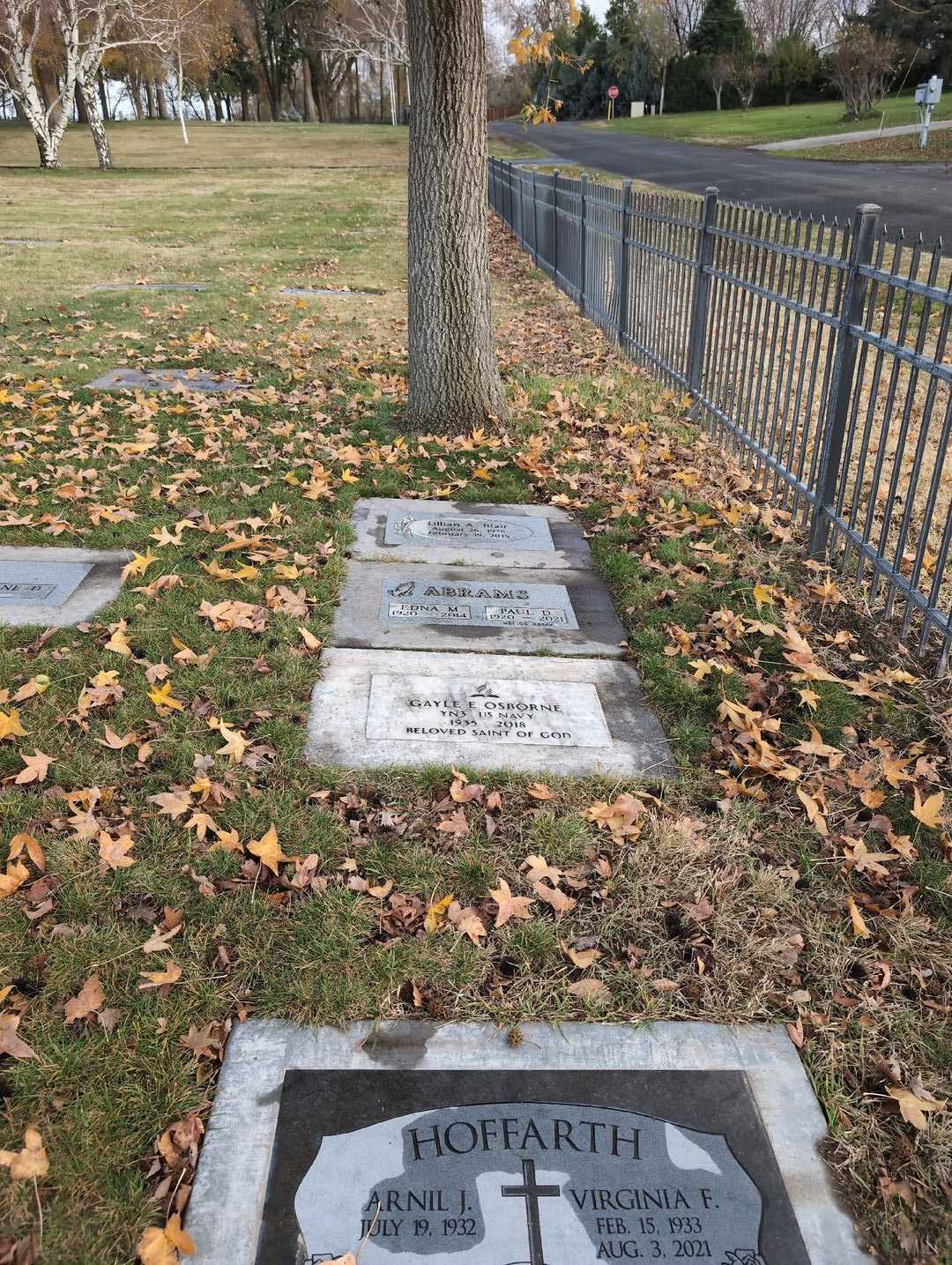 Paul D. Abrams's grave. Photo 2