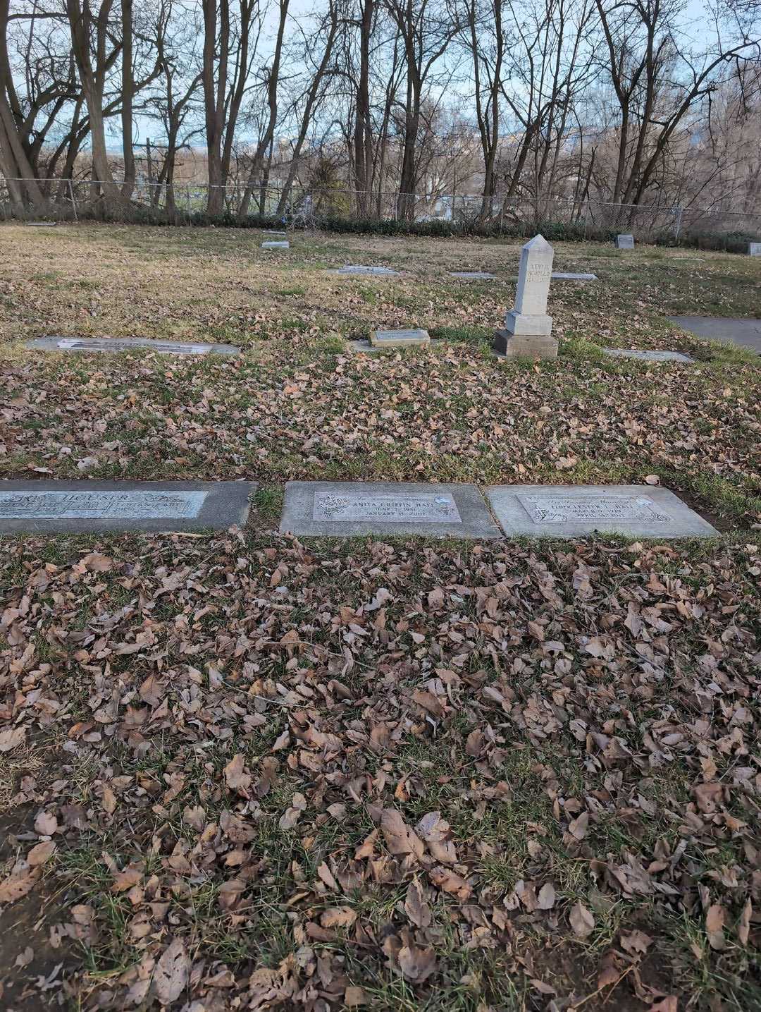 Anita Griffin Hall's grave. Photo 2