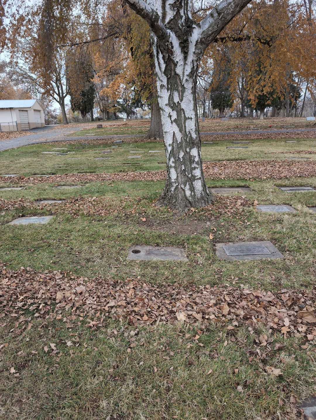Michael Owen Roberts's grave. Photo 2