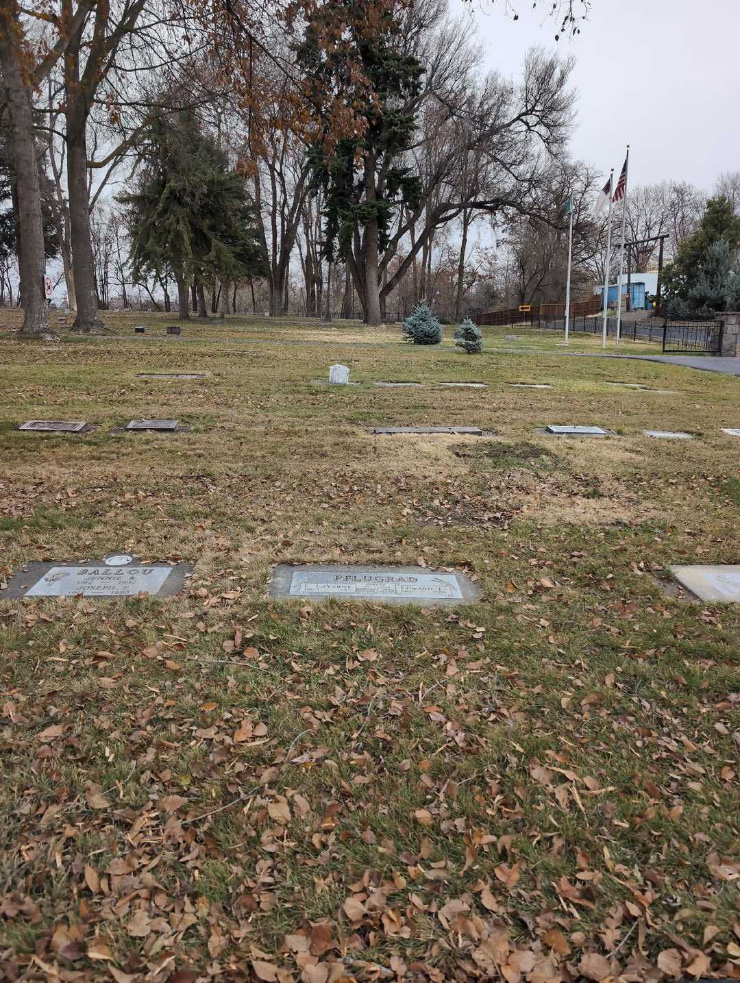 Edward E. Pflugrad's grave. Photo 2