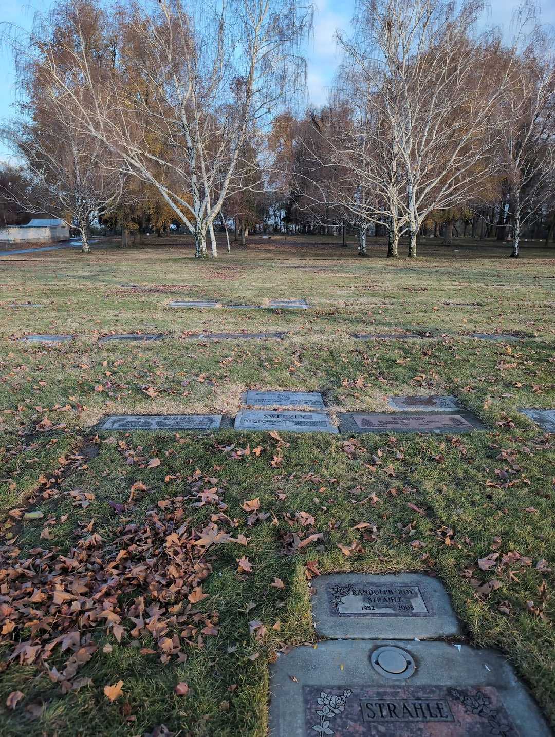 Robert L. Sweezey's grave. Photo 4