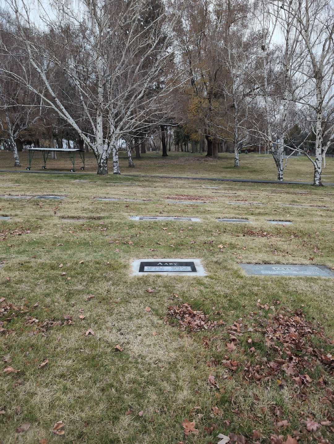 Amelia L. Aaby's grave. Photo 2