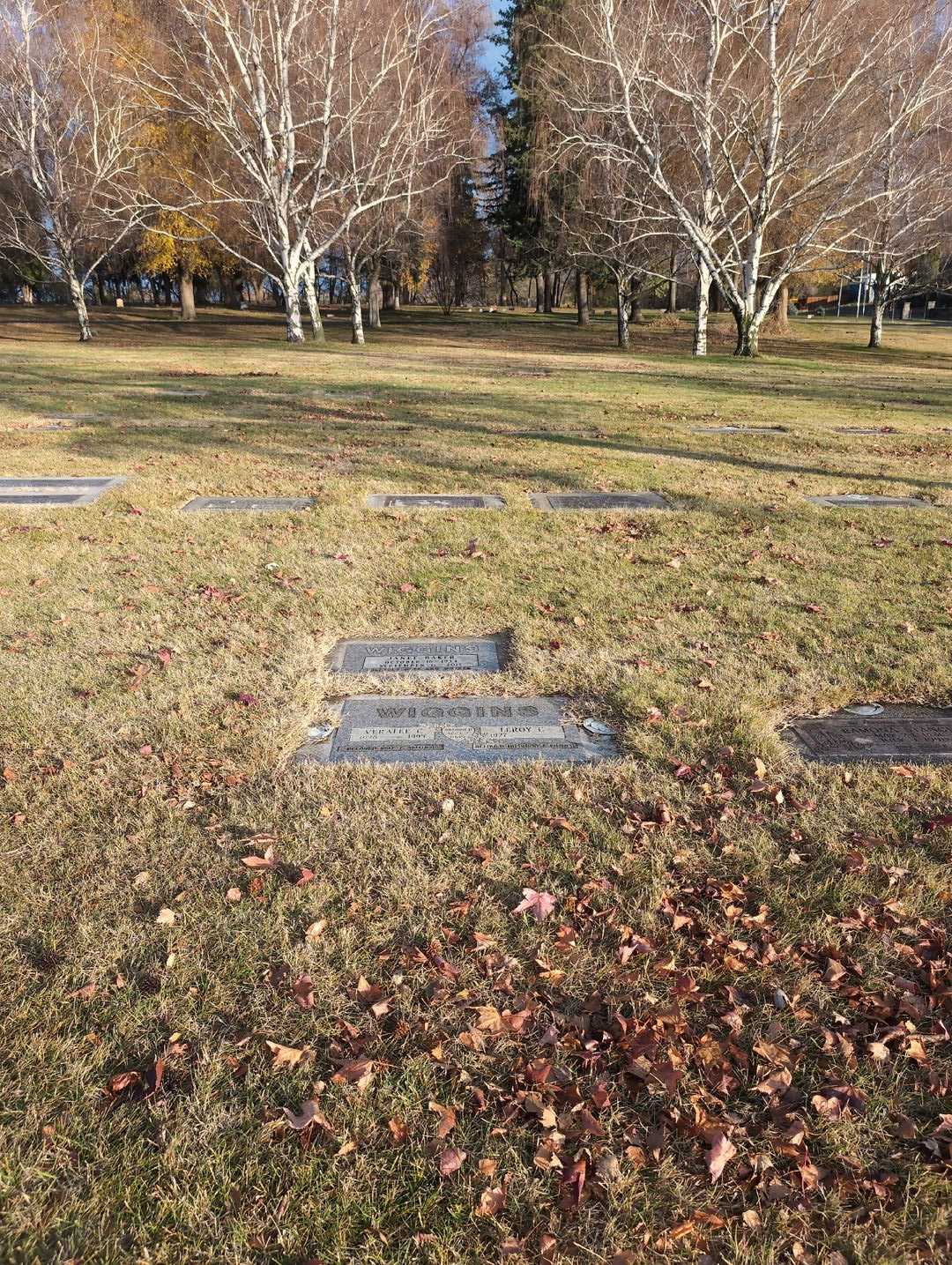 Janet Baker Wiggins's grave. Photo 2