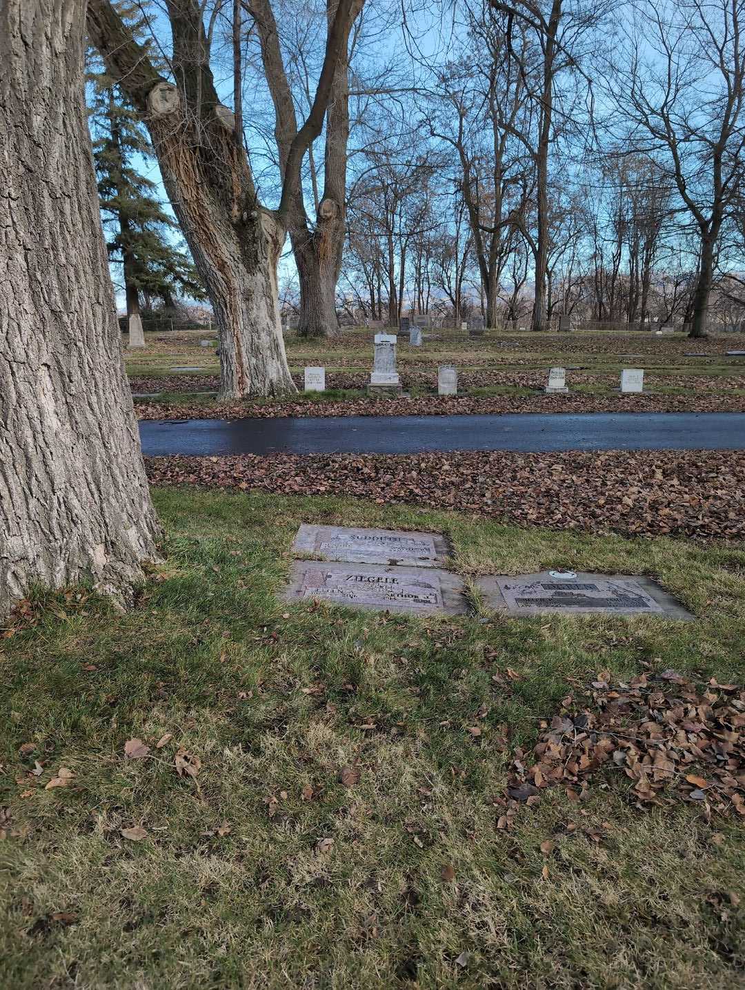 Ellen A. Ziegele's grave. Photo 2