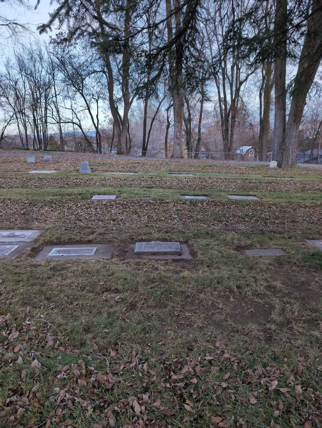 Amalie Eckhardt's grave. Photo 2