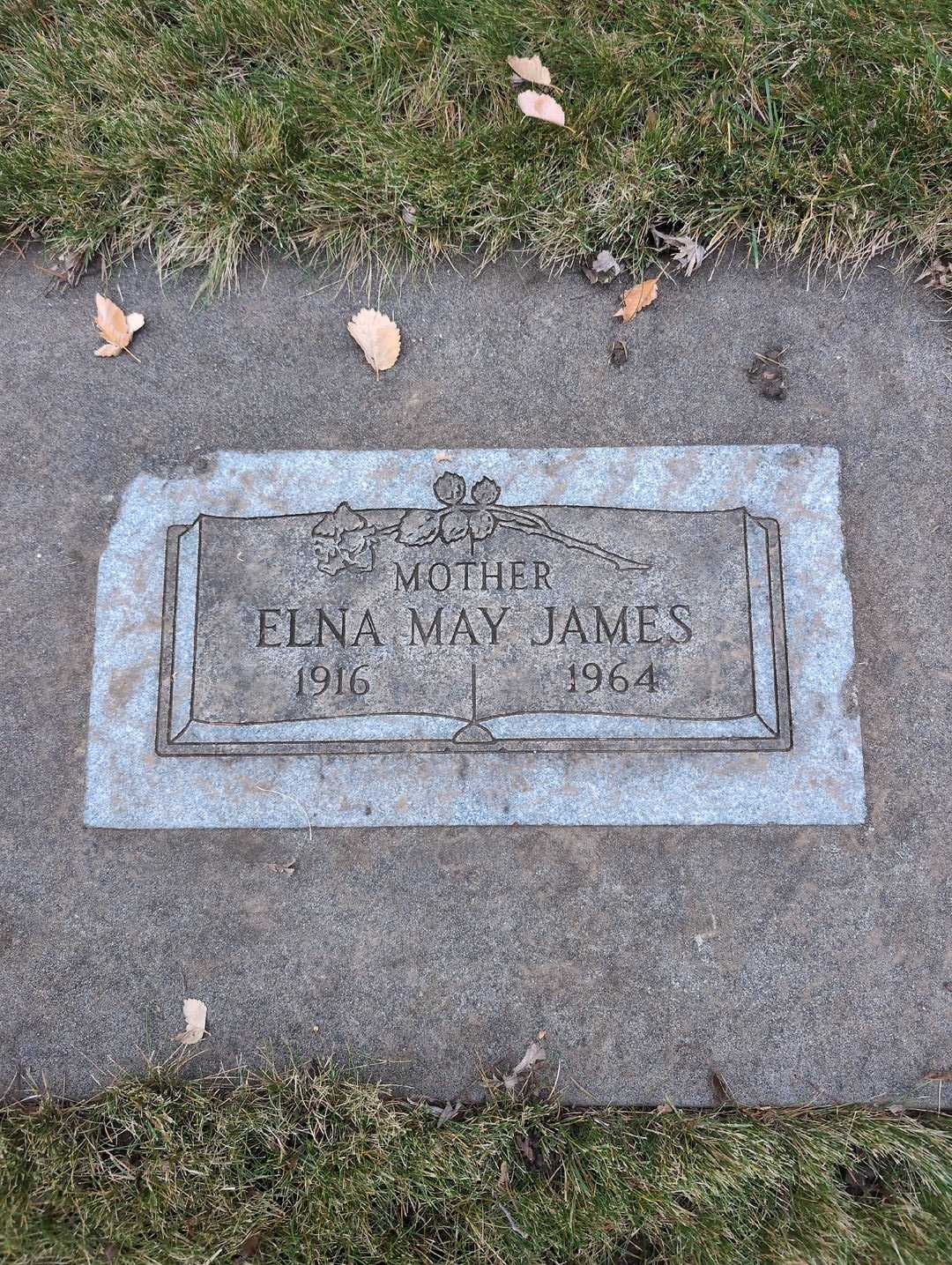 Elna May James's grave. Photo 3