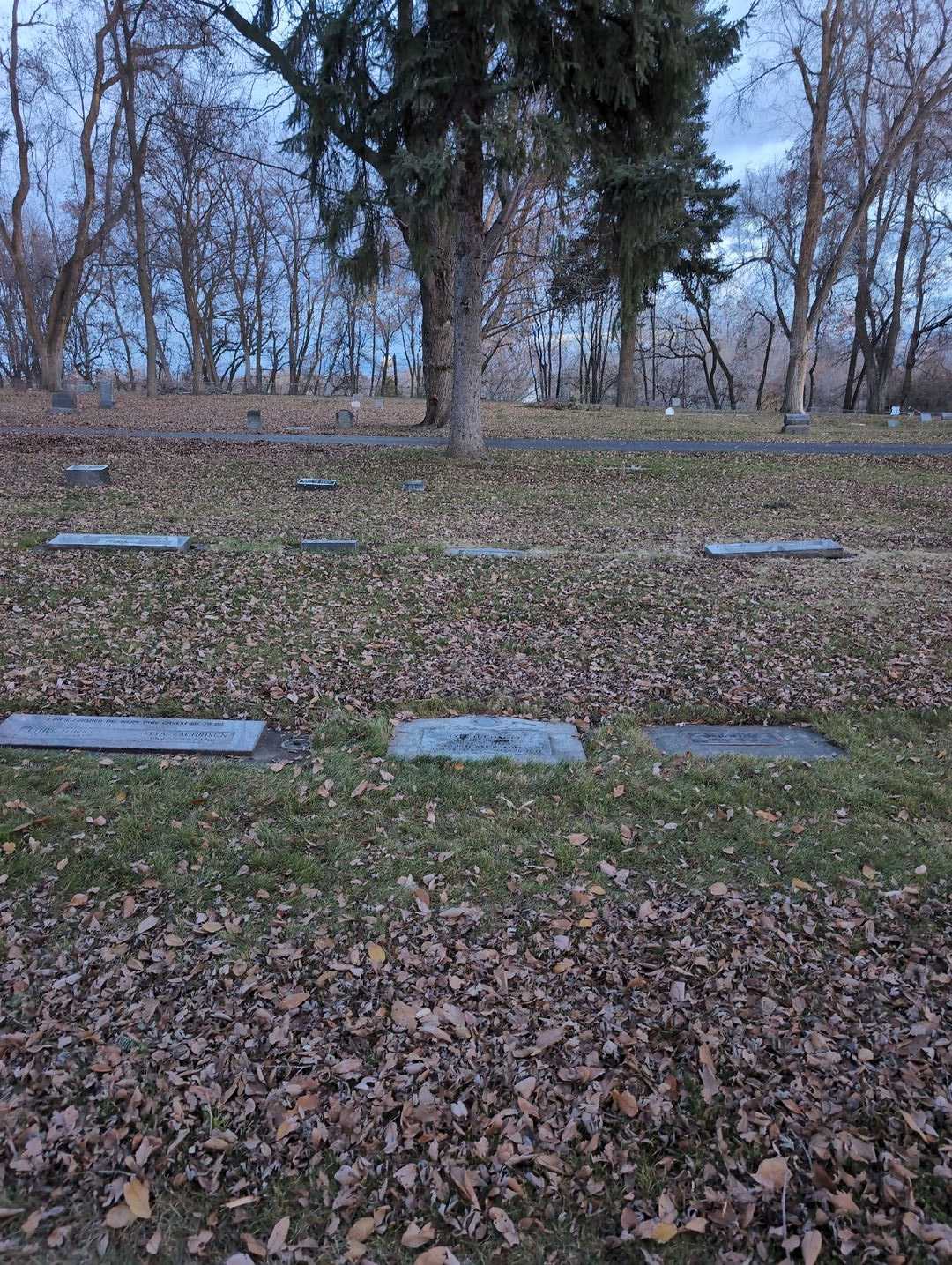Lyle H. Chaney's grave. Photo 2