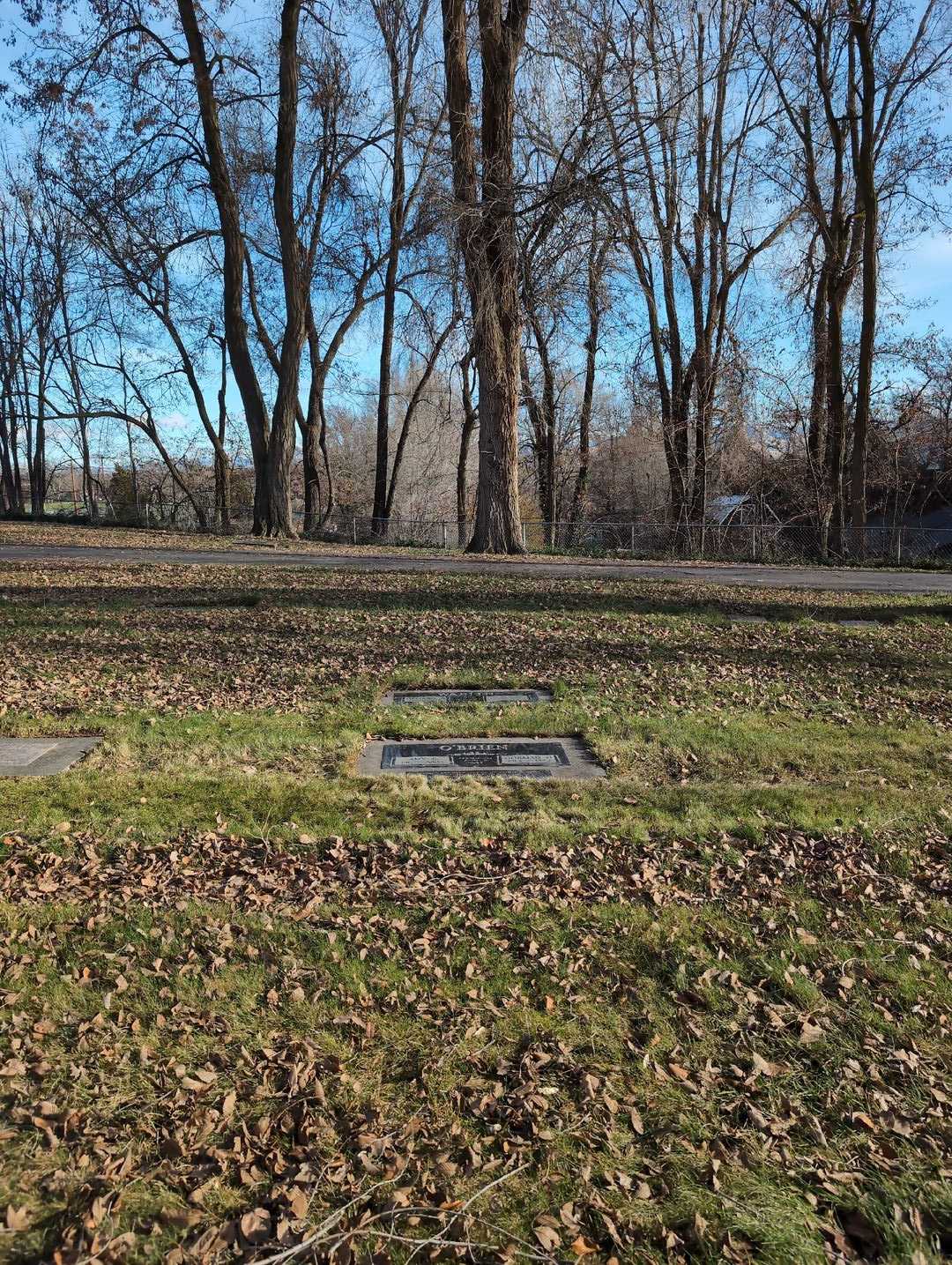 Amy R. O'Brien's grave. Photo 2