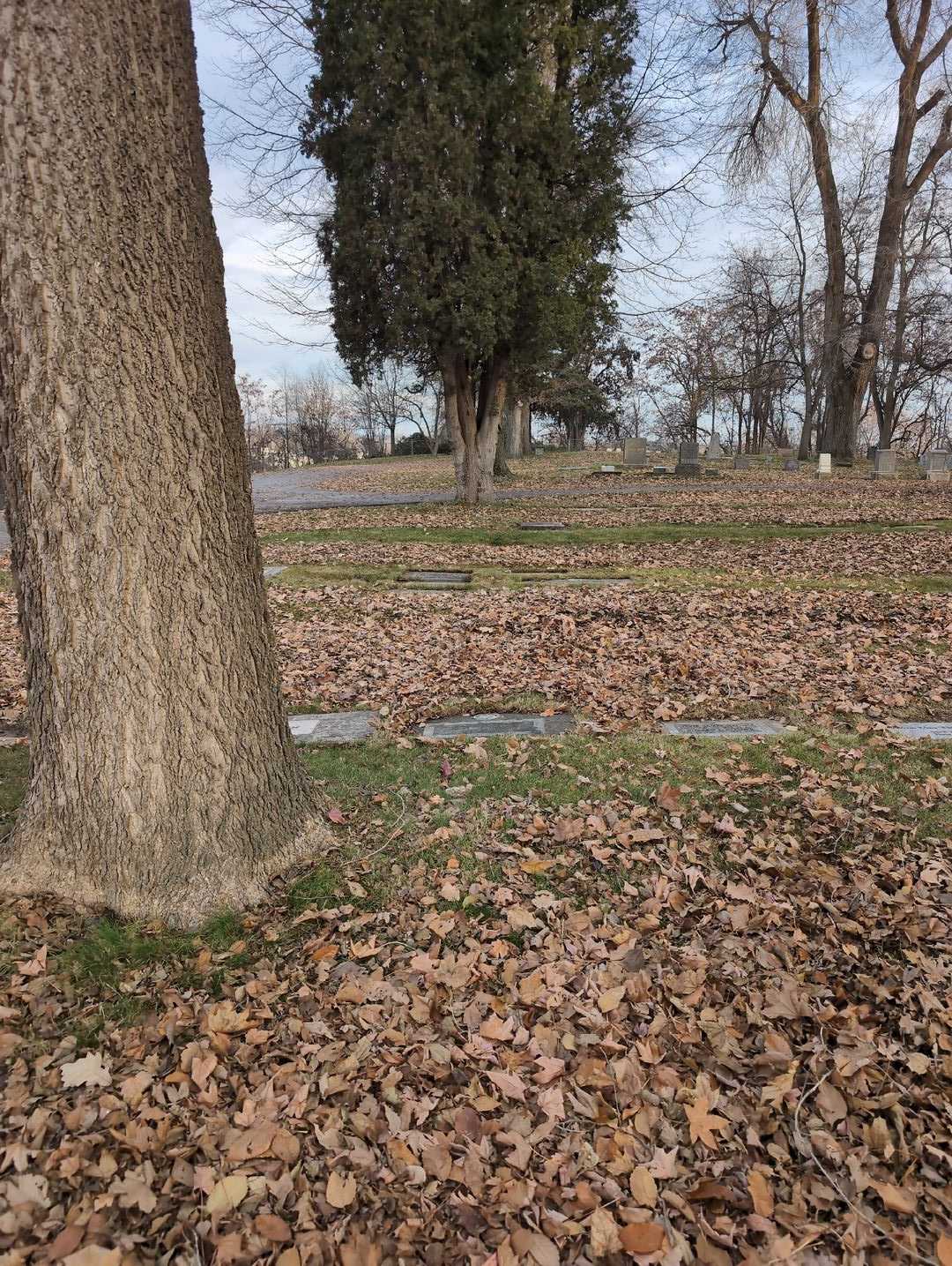 Dora Garvin's grave. Photo 2