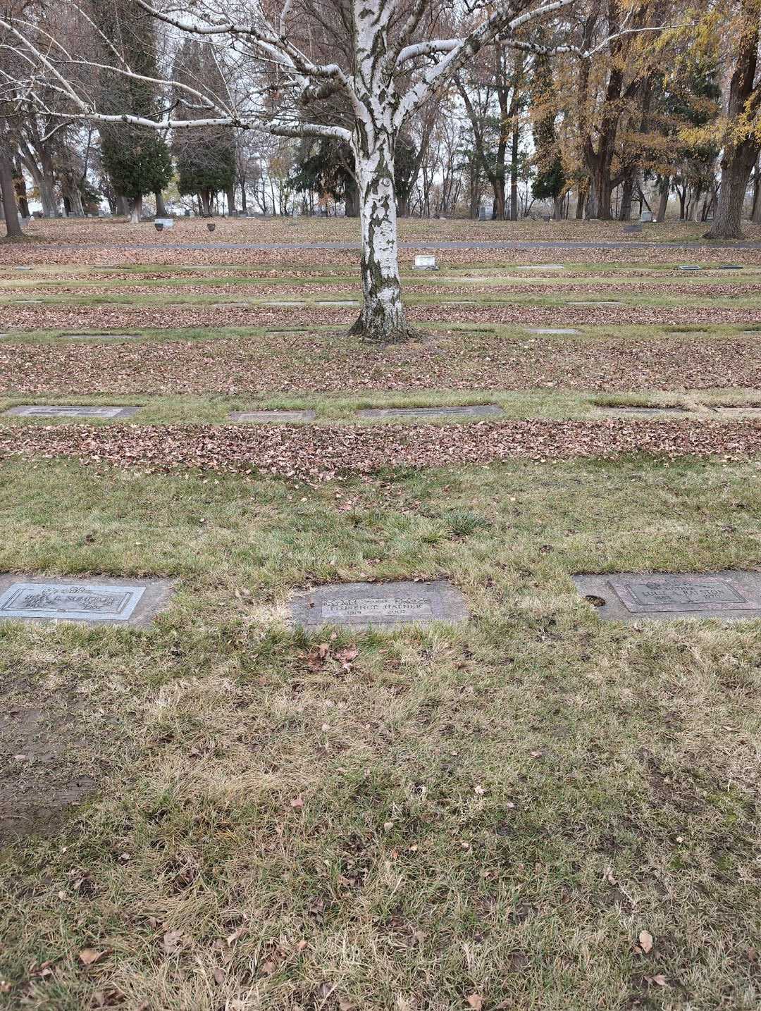 Florence Hafner's grave. Photo 2