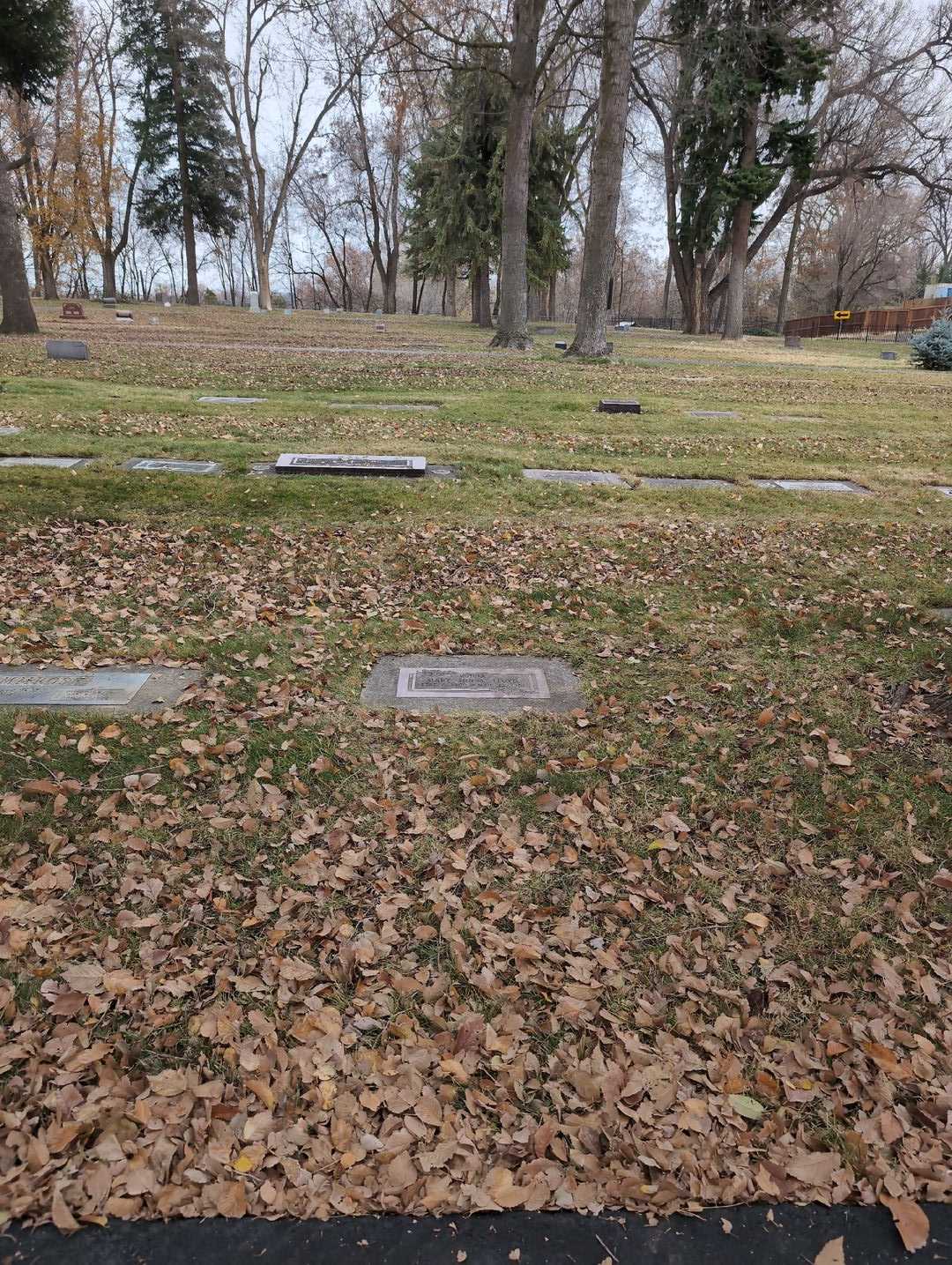 Mary Irene Jones Lloyd's grave. Photo 2