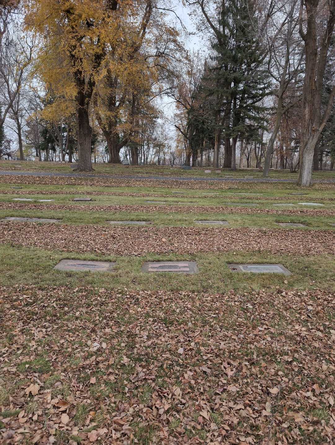 Clifford O. Gerking's grave. Photo 2