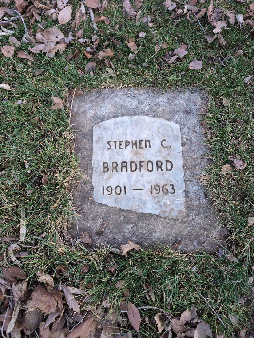 Stephen C. Bradford's grave. Photo 3