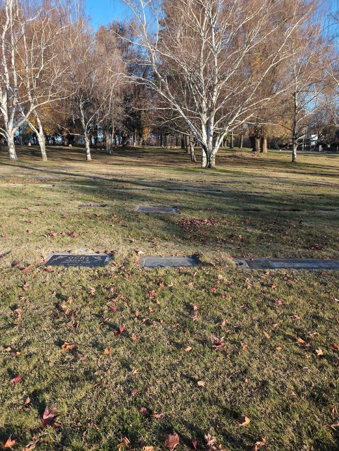 Ted A. Owens Senior's grave. Photo 2