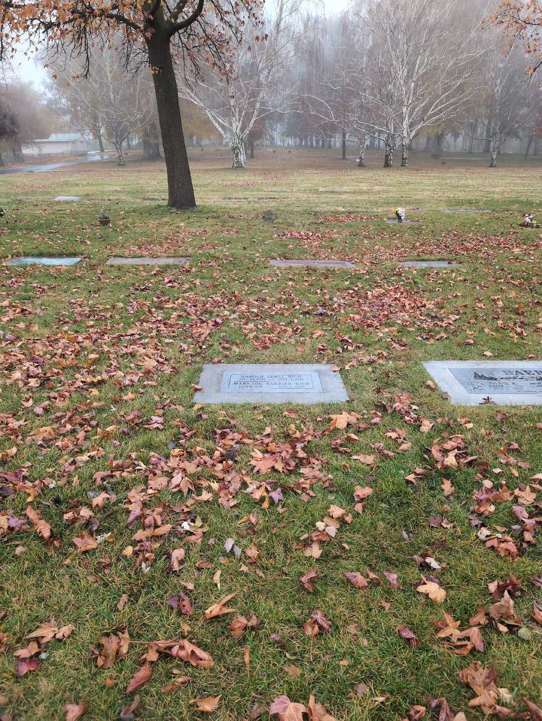 Harold Lewis Rich's grave. Photo 2