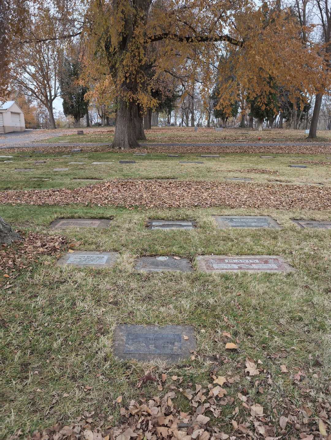 R. Araya Lauve Ortiz's grave. Photo 2