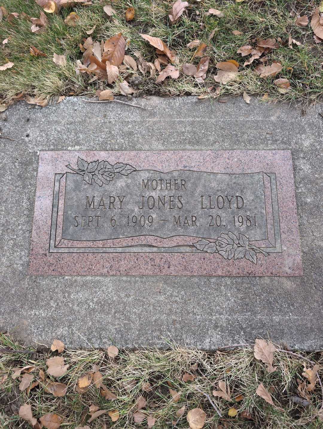Mary Irene Jones Lloyd's grave. Photo 3