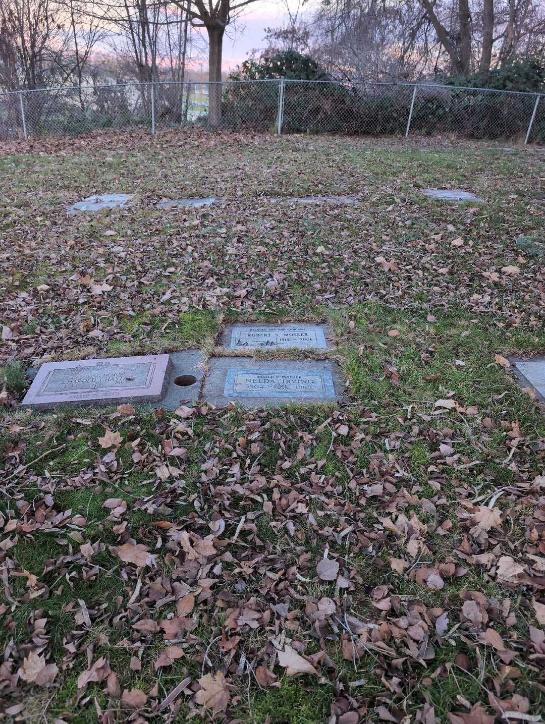 Nelda Irving's grave. Photo 2