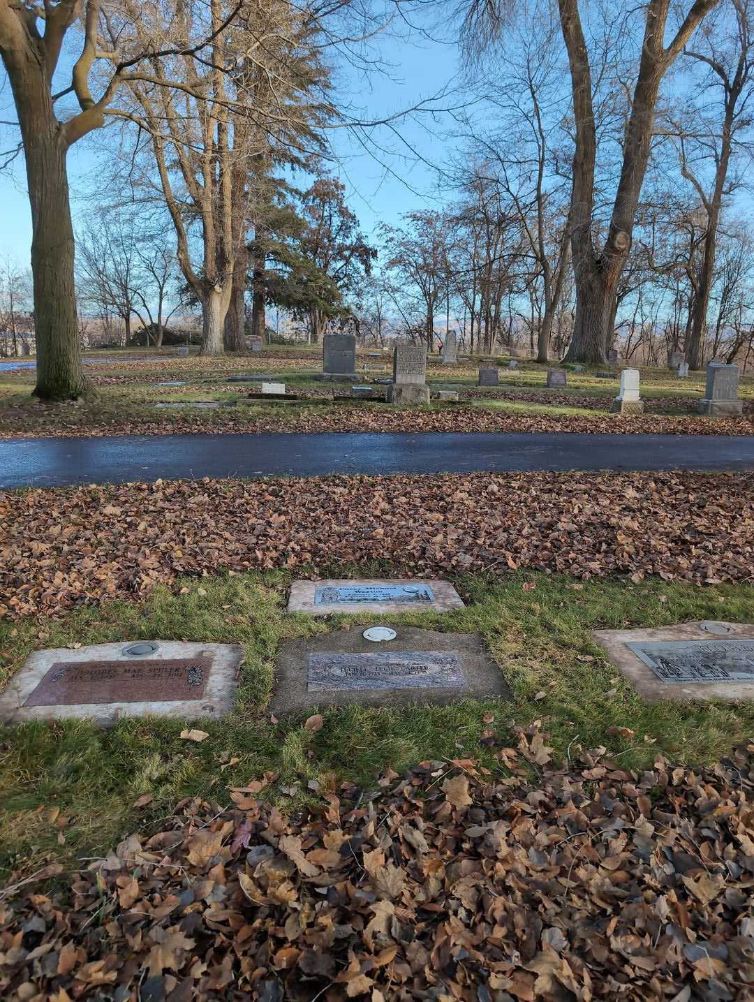 Lucille "Lucie" Larter's grave. Photo 4