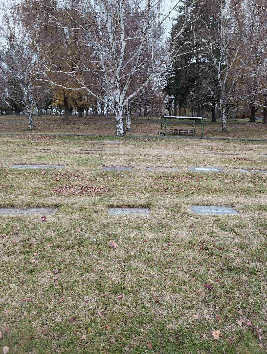 Dale Fristad's grave. Photo 2