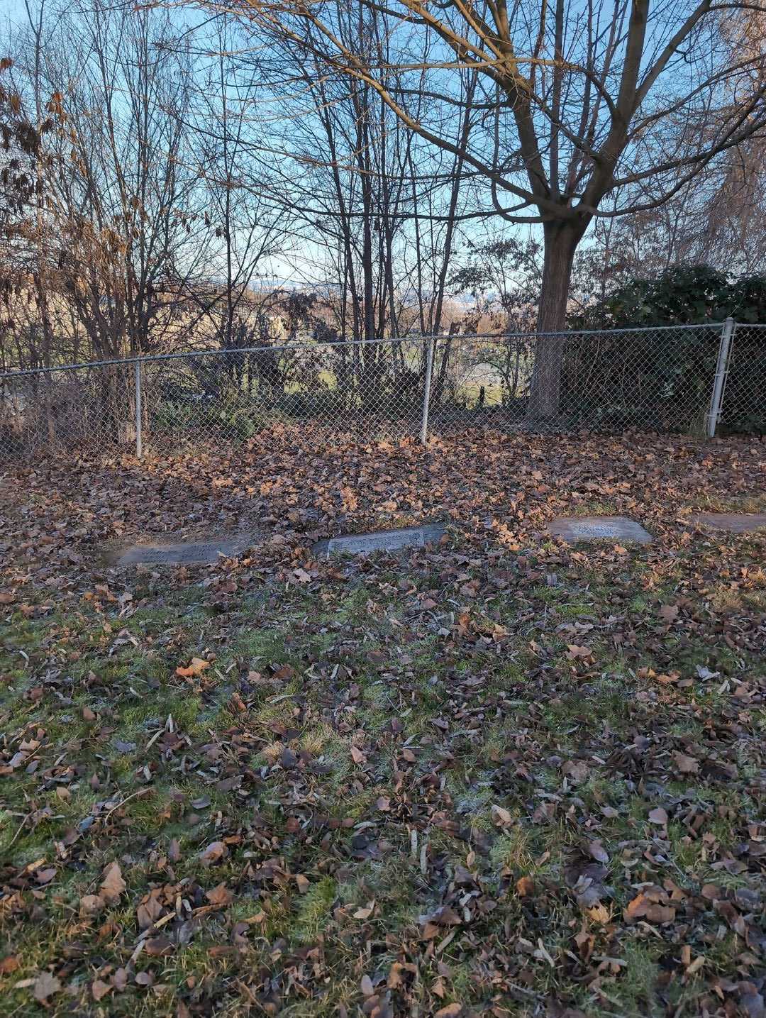 Laura Jane Nehring's grave. Photo 3
