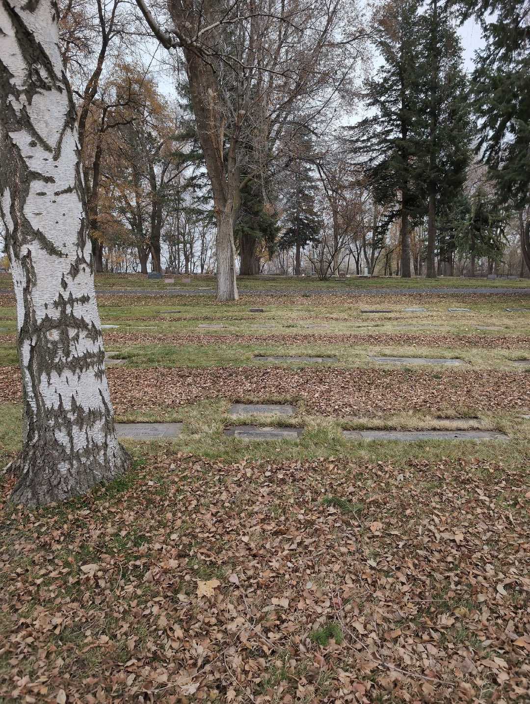 C. Don Howell's grave. Photo 2