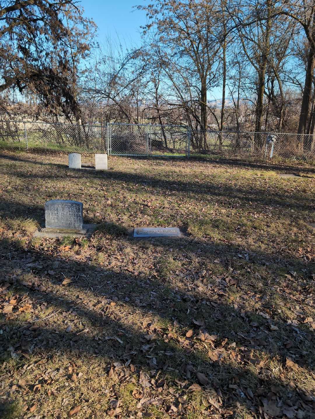 John Walter Weddle's grave. Photo 2