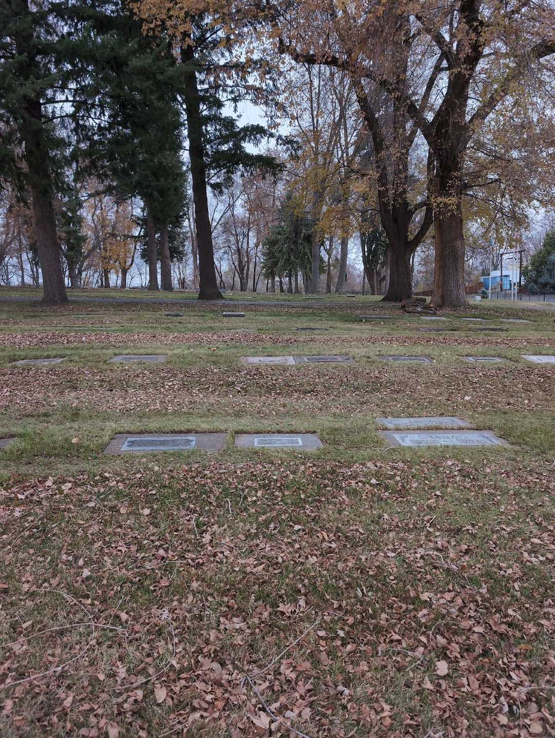 David Carl Lenz's grave. Photo 2
