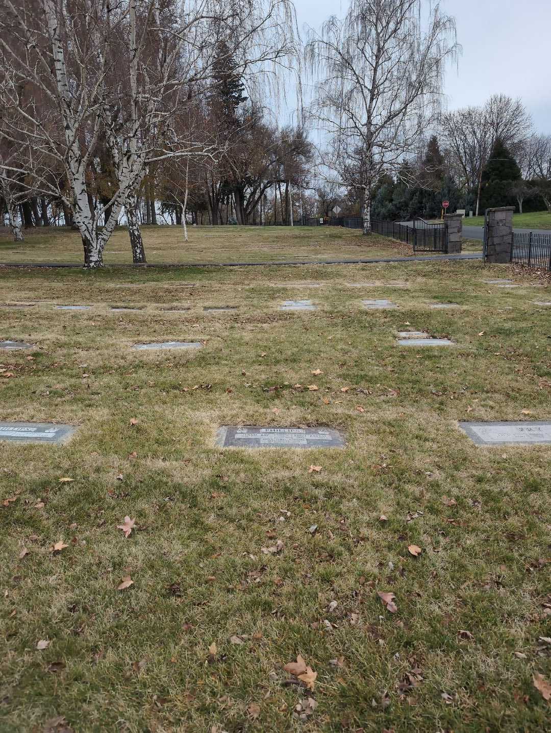 Aidan James Phillips's grave. Photo 2