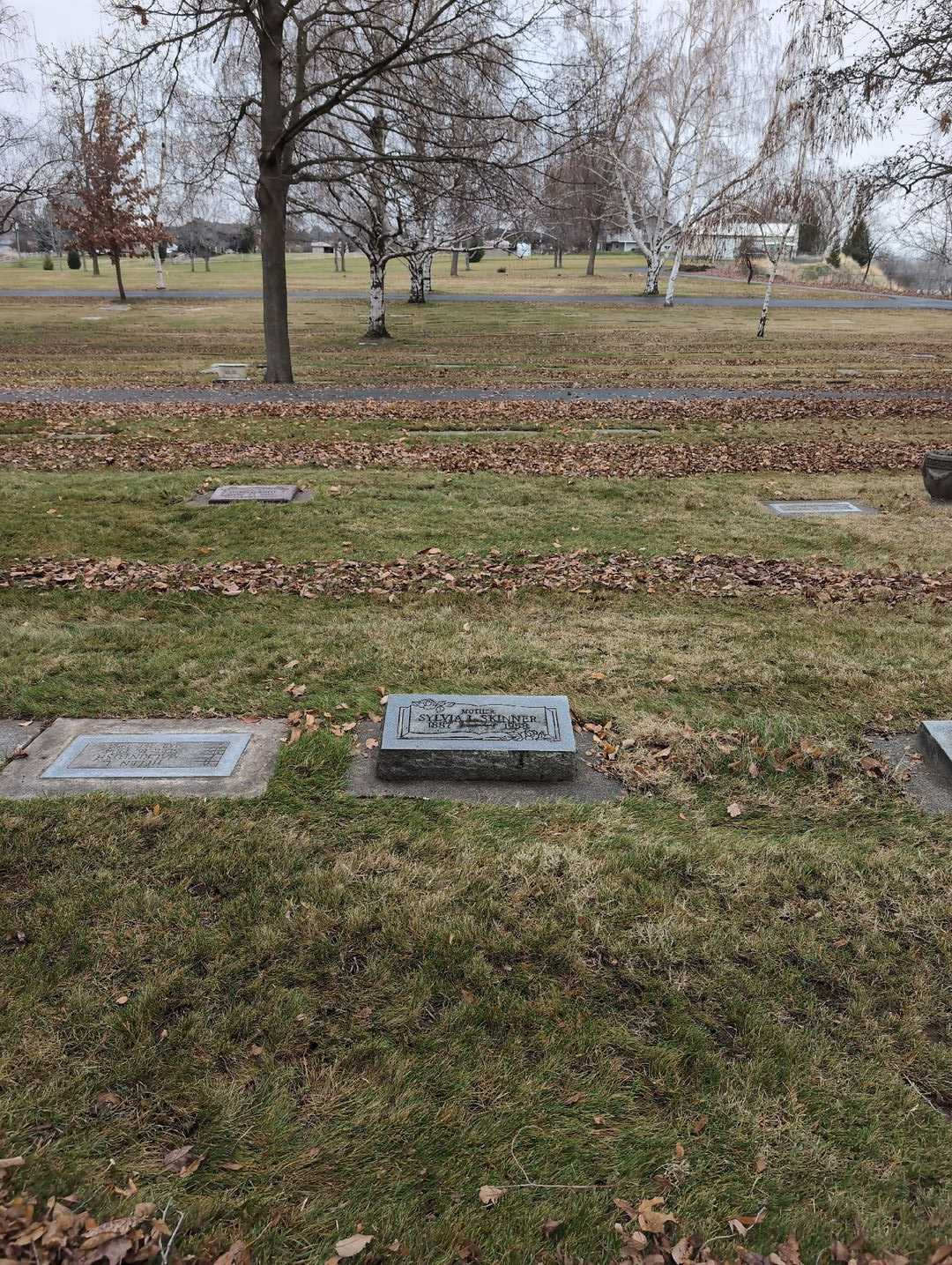 Sylvia L. Skinner's grave. Photo 2