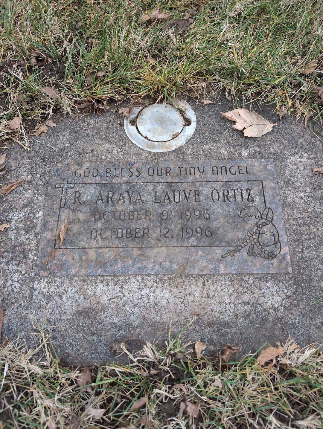 R. Araya Lauve Ortiz's grave. Photo 3