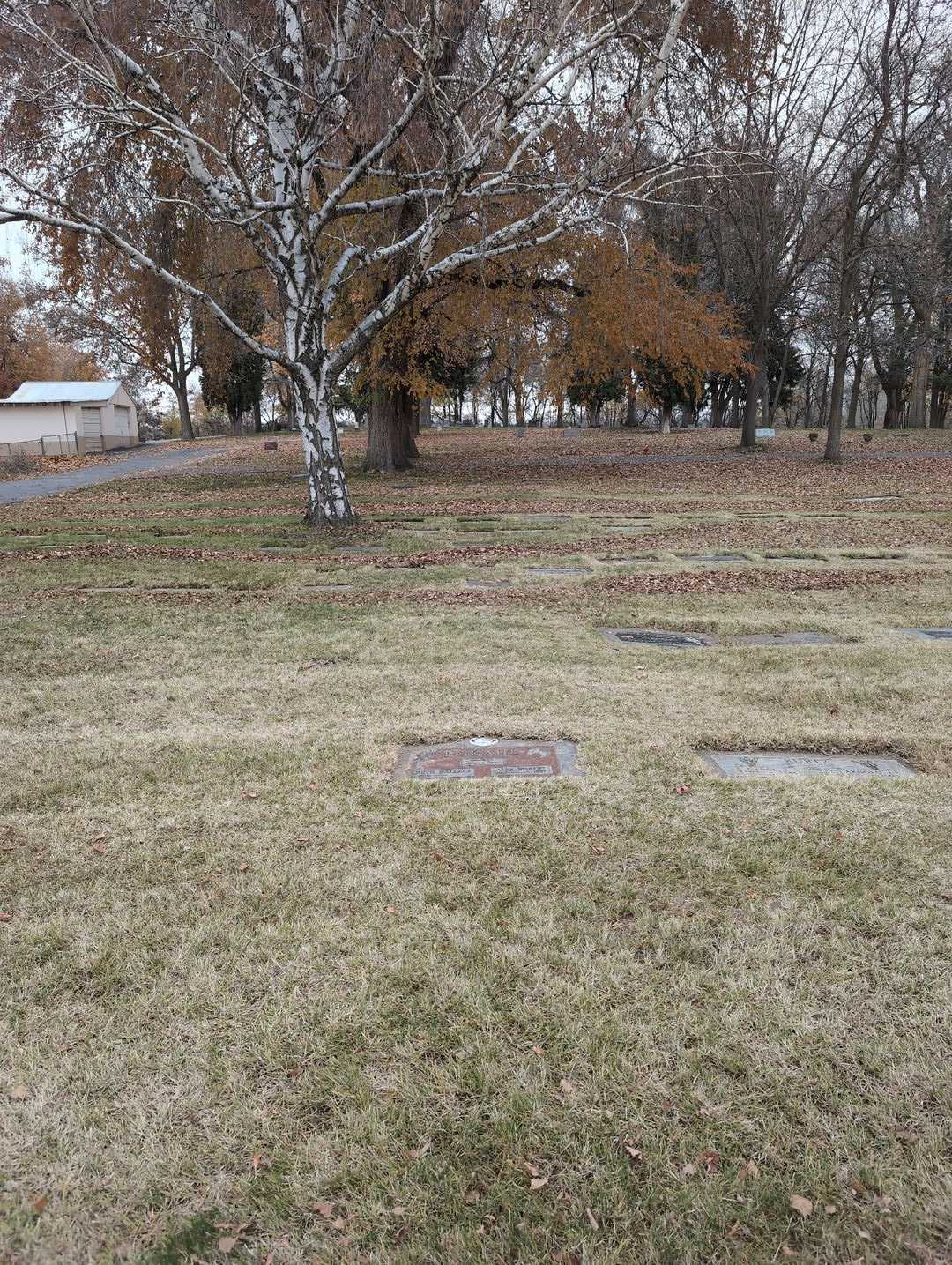 Kathleen Elaine Parker's grave. Photo 5