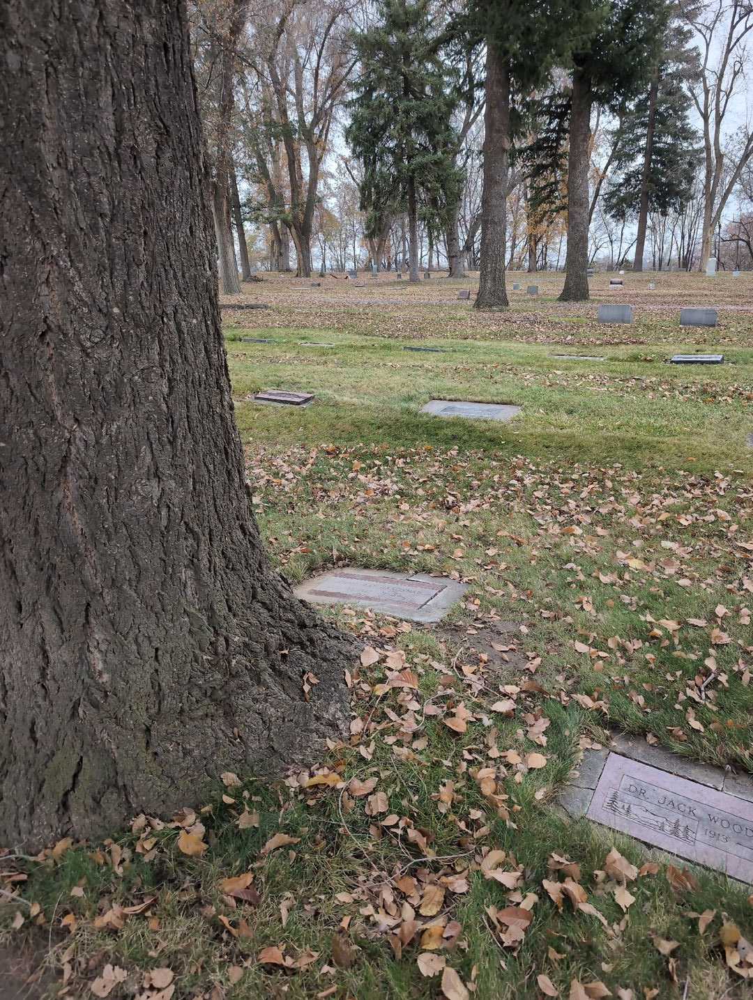 Jimmy Ray Bradshaw's grave. Photo 2