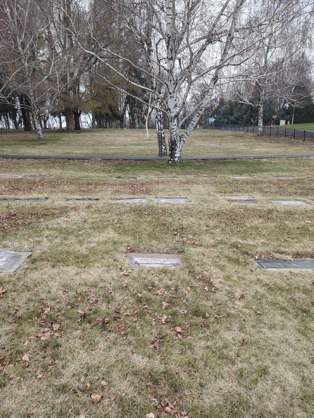 James Norval Harris's grave. Photo 2