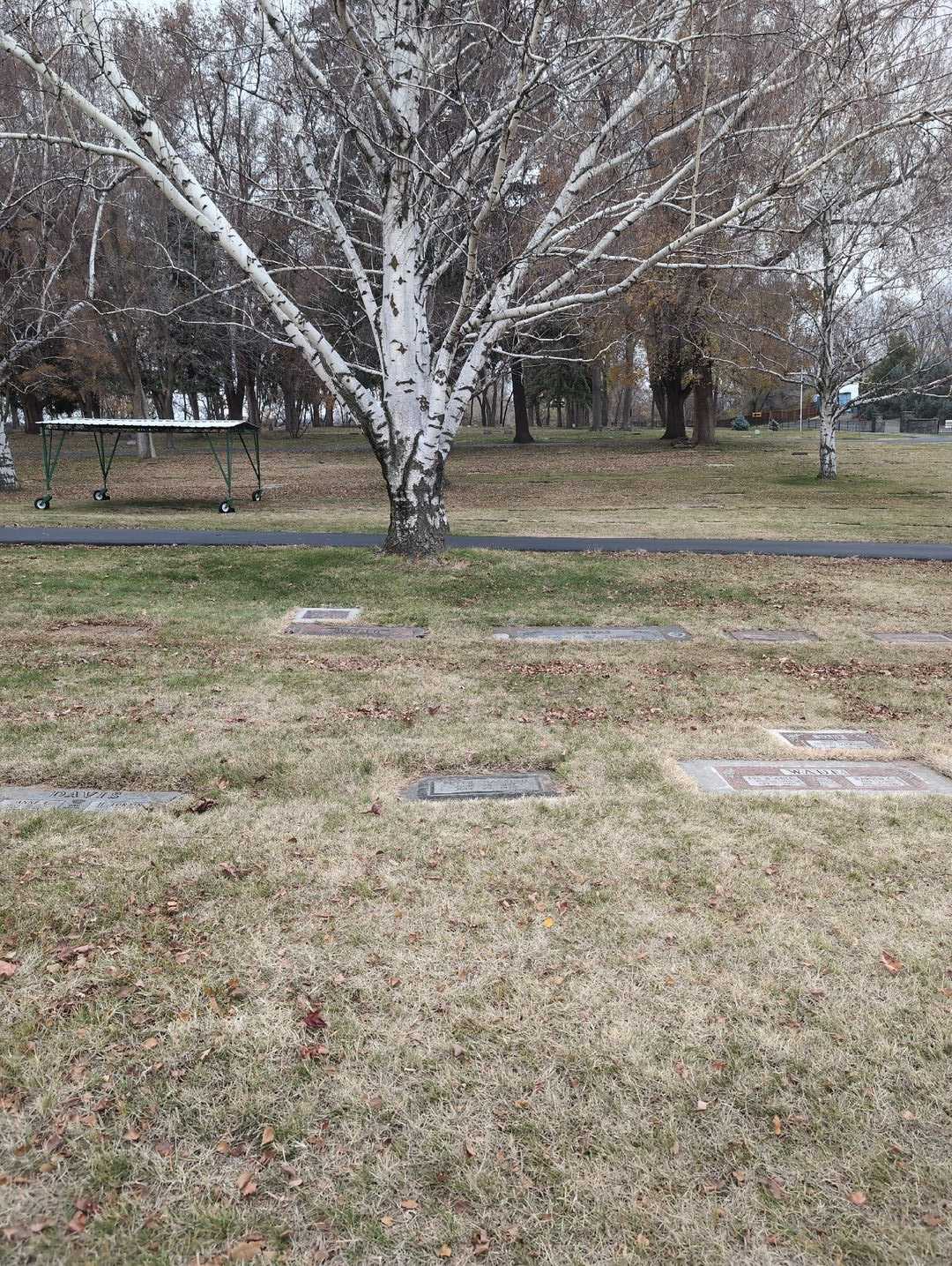 Peter Hassing's grave. Photo 2