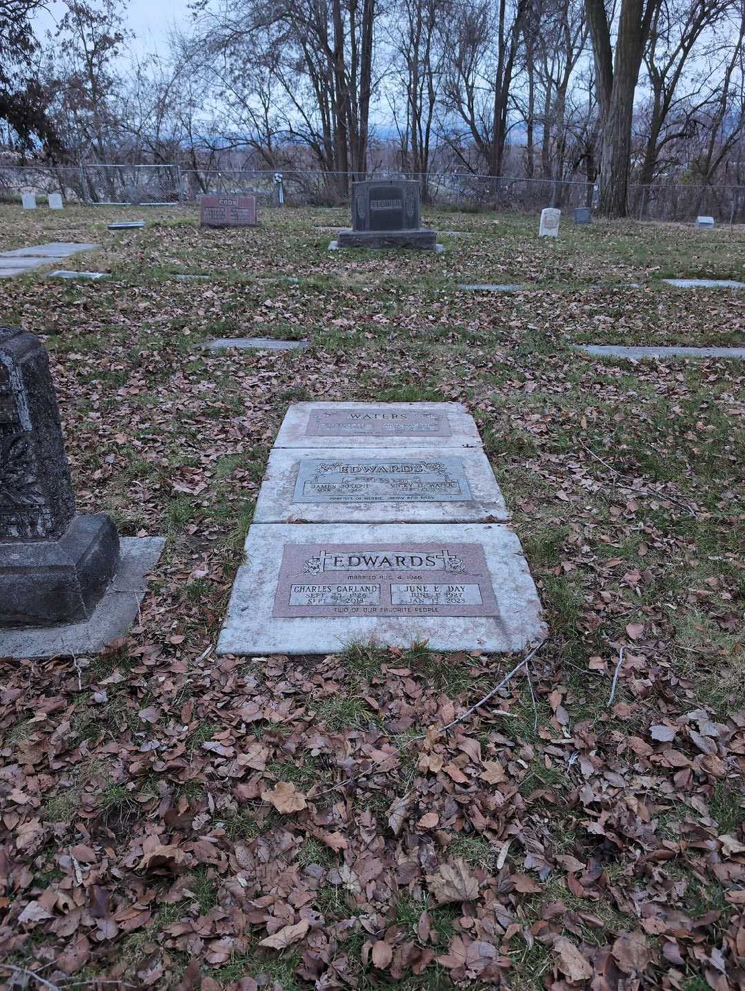 June E. Day Edwards's grave. Photo 4