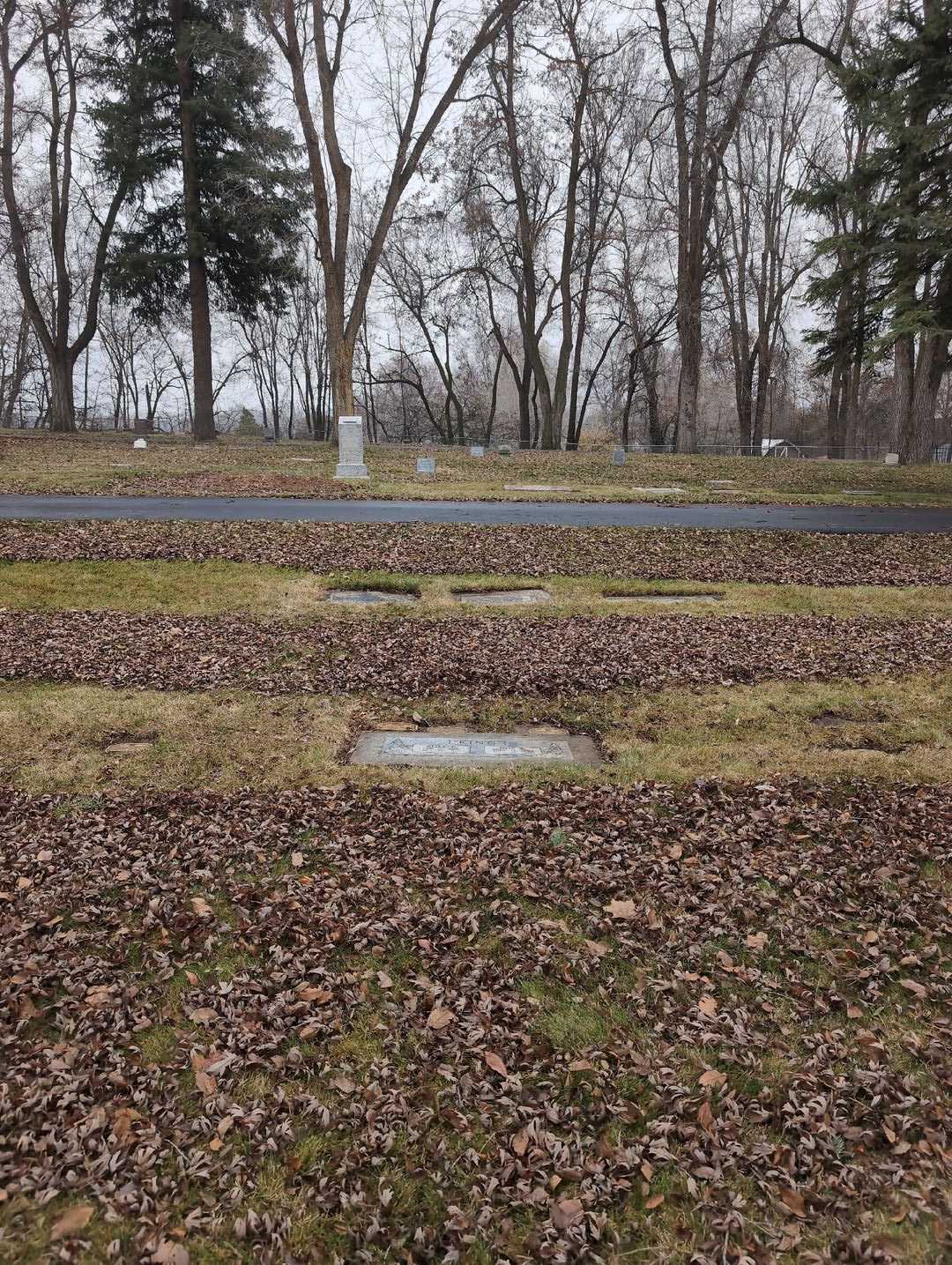 Arthur "Art" Tavasci's grave. Photo 2