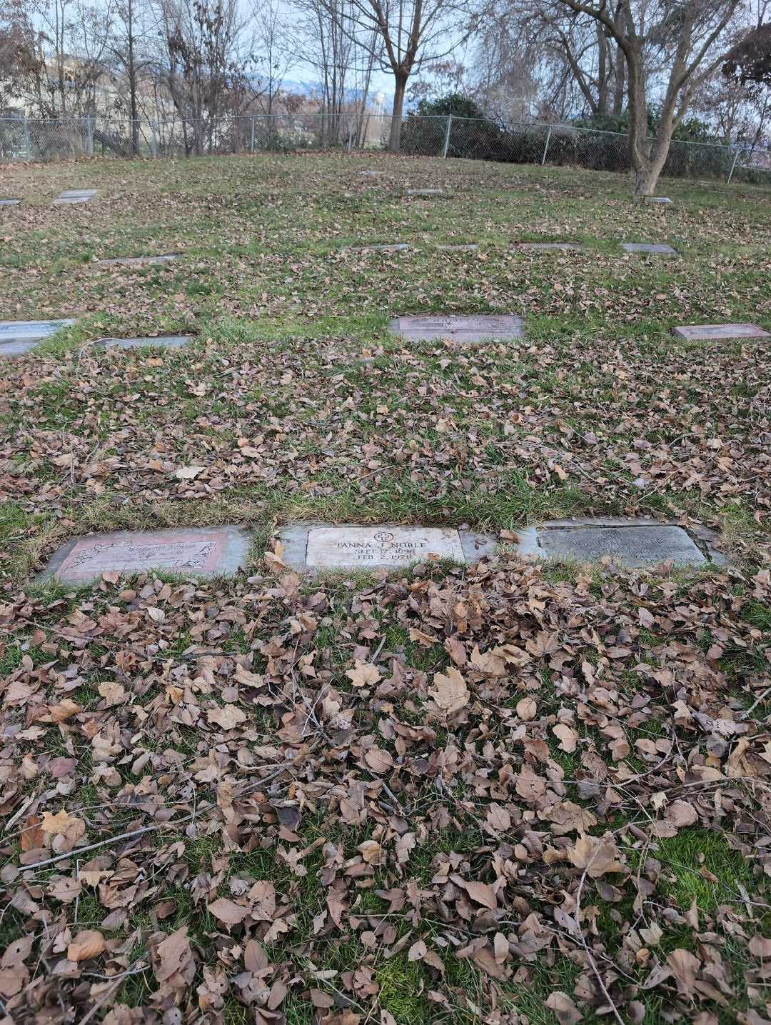 Tanna J. Noble's grave. Photo 2
