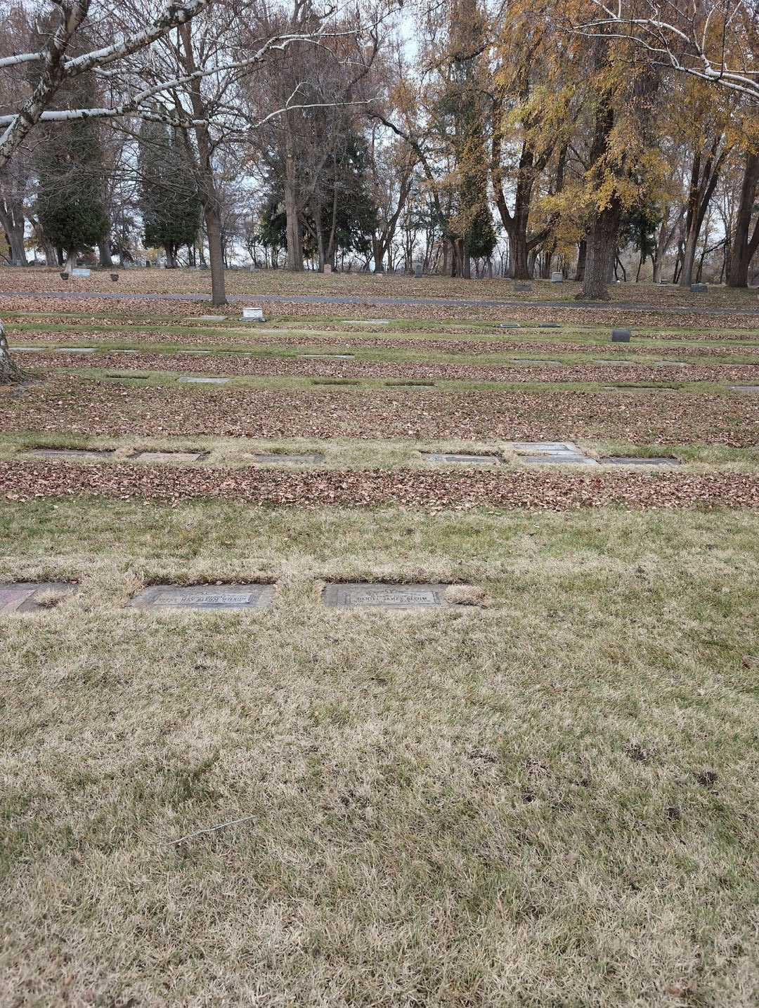Daniel James Blehm's grave. Photo 2