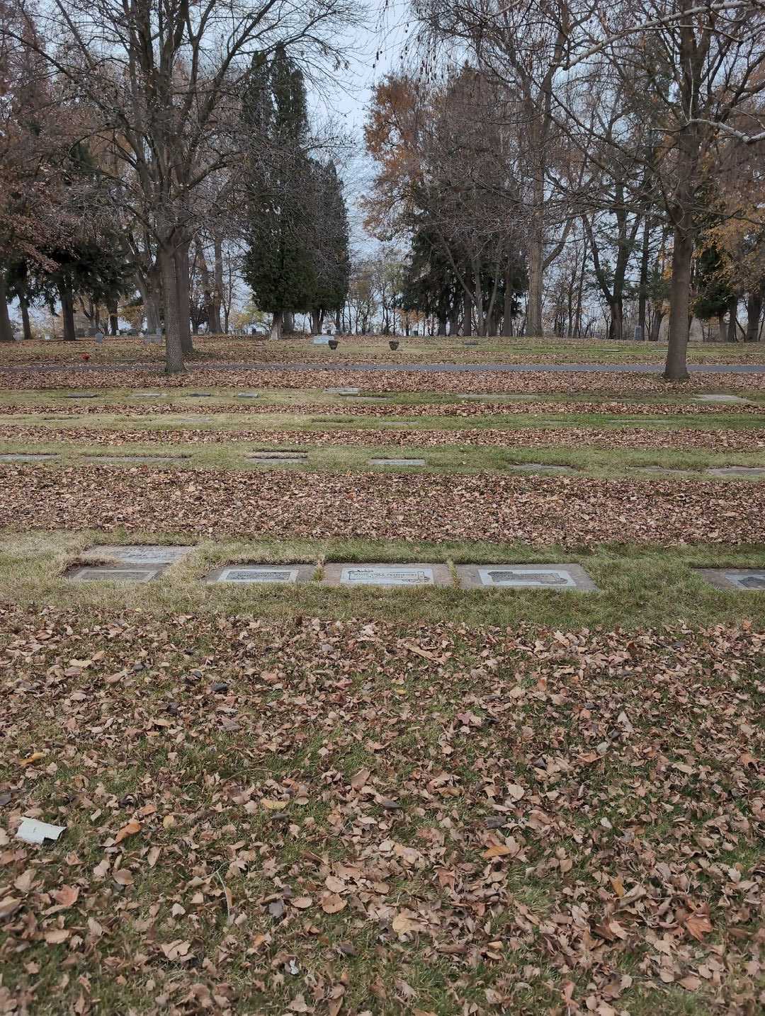 Mavis Viola Pryhorocki's grave. Photo 2