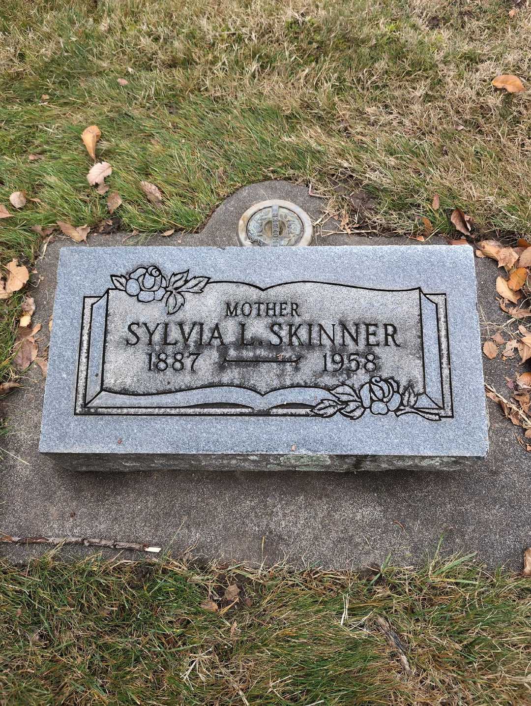 Sylvia L. Skinner's grave. Photo 3