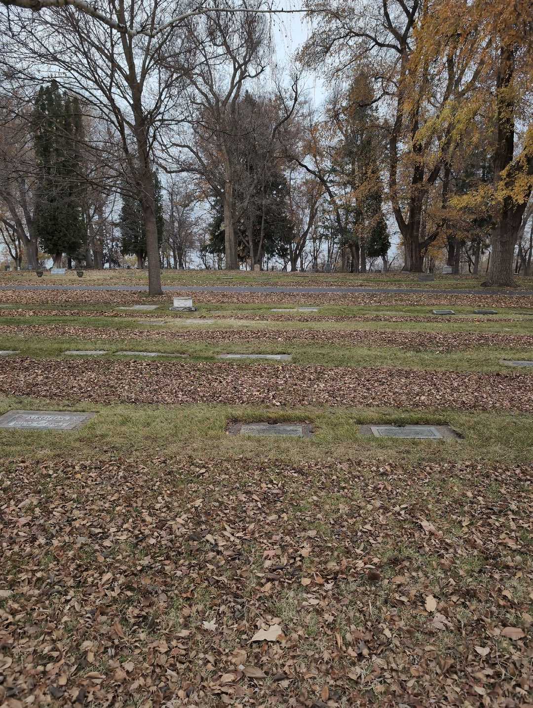 Shirley Vickroy's grave. Photo 2