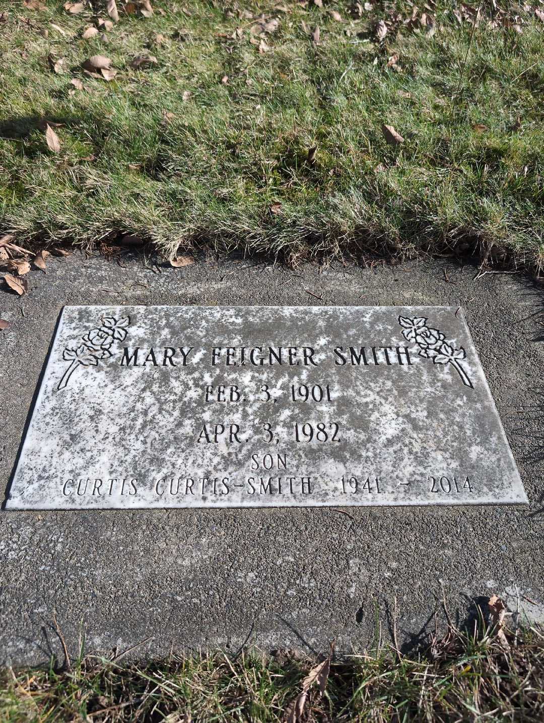 Mary Feigner Smith's grave. Photo 3